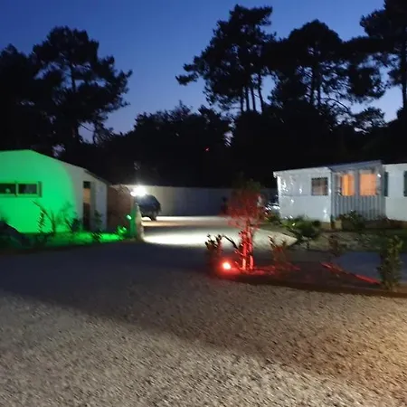 Proche Du Zoo De La Palmyre Ouvert Toute L'année *