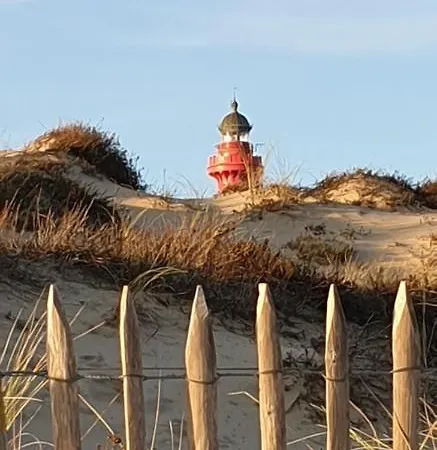 2 A 4 Pers Les Pommes De Pin La Palmyre Proche Zoo Et Plages *