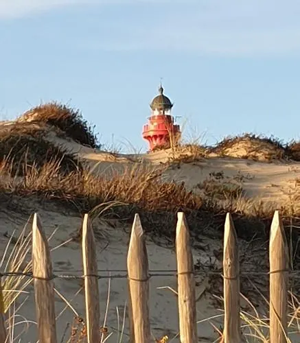 Proche Du Zoo De La Palmyre Ouvert Toute L'année *