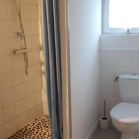 Proche Du Zoo De La Palmyre Ouvert Toute L'année * Les Mathes