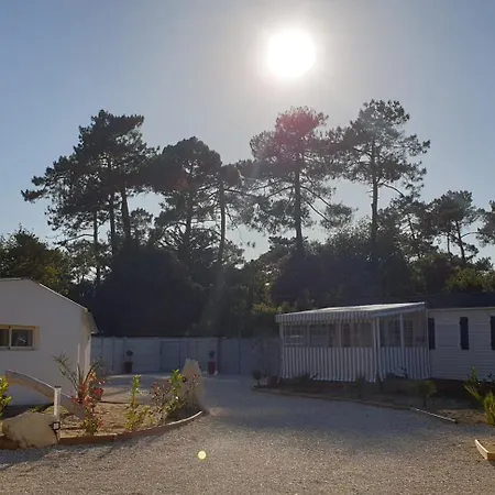 Proche Du Zoo De La Palmyre Ouvert Toute L'année * Les Mathes